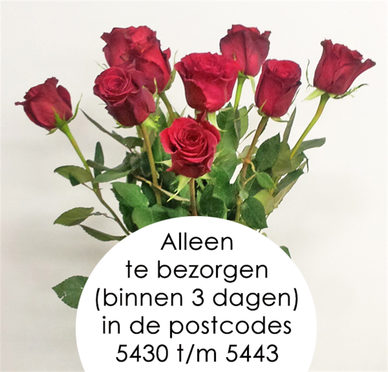 Losse Roos 'Burgundy' Lengte 60cm
