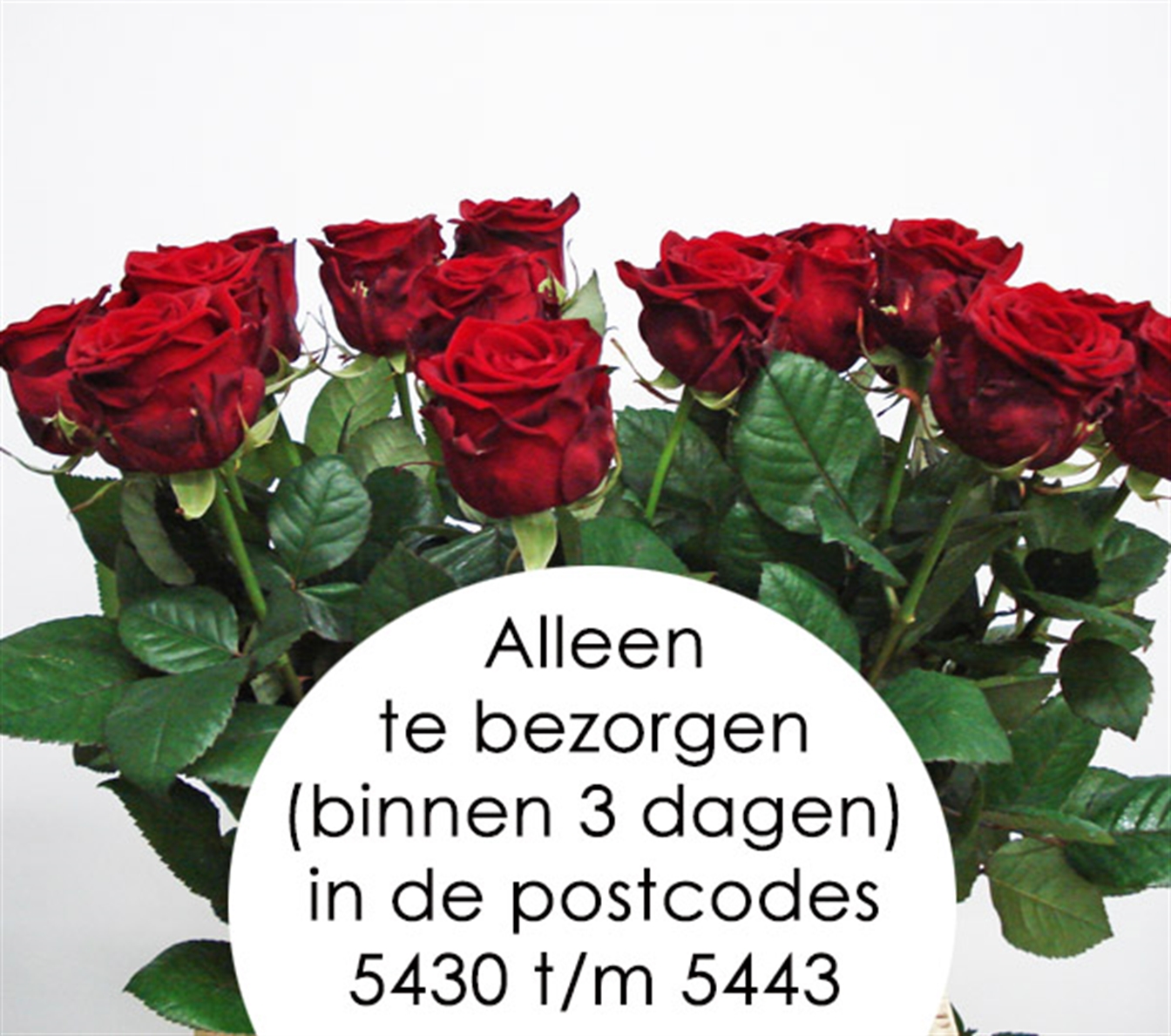 Losse roos 'Red Naomi+' Lengte 70cm